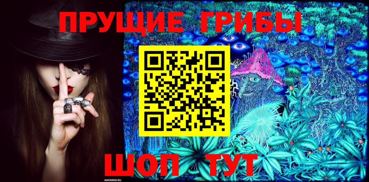 Артём  Галлюциногенные грибы прущие грибы  Вход с VPN  Галлюциногенные грибы Psilocybe 